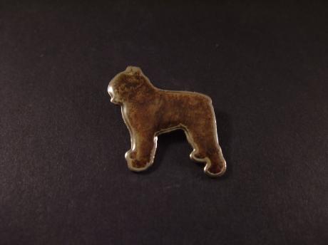 Bruine Bouvier des Flandres ( veedrijvershond)